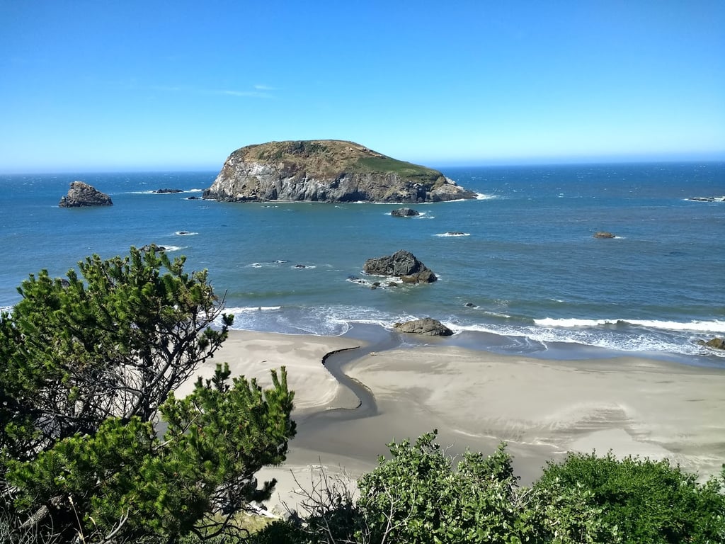 Harris Beach State Park