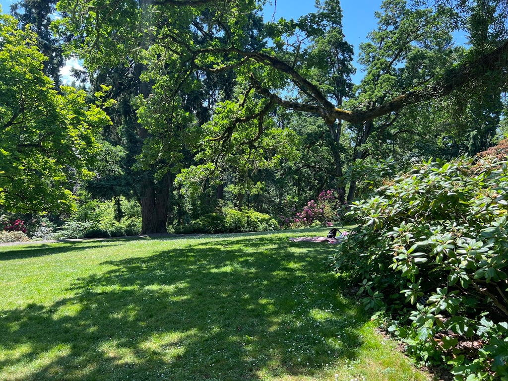 Hendricks Park Rhododendron Garden
