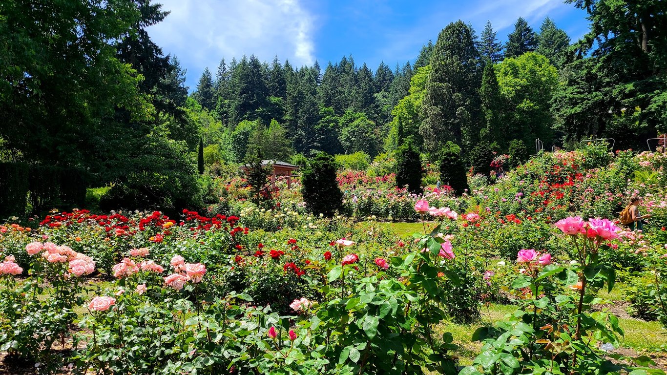International Rose Test Garden