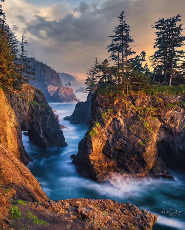 Natural Bridges Cove
