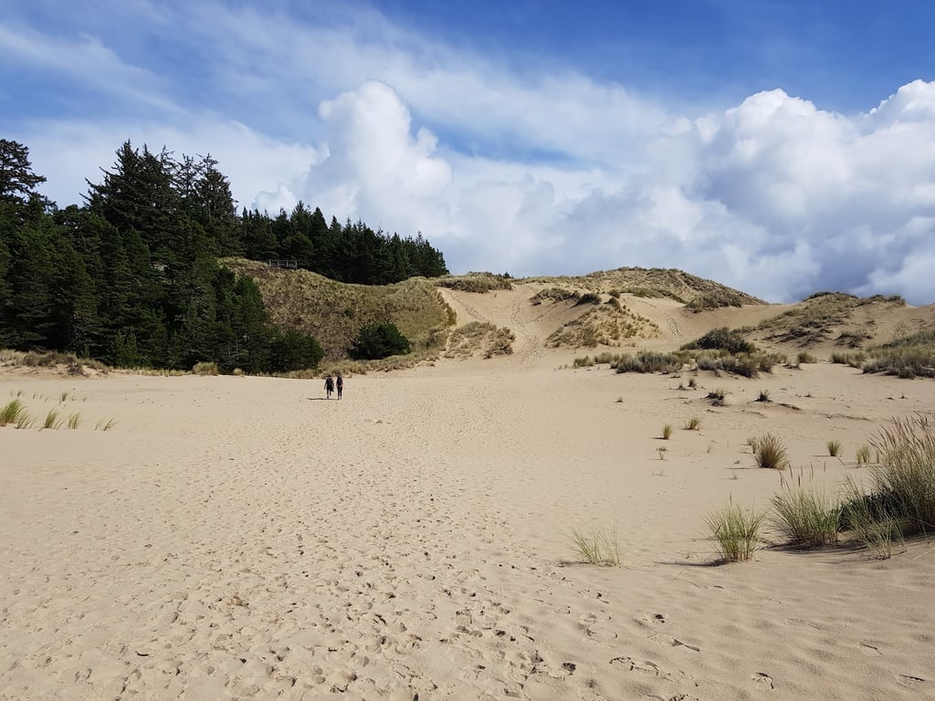 Oregon Dunes National Recreation Area
