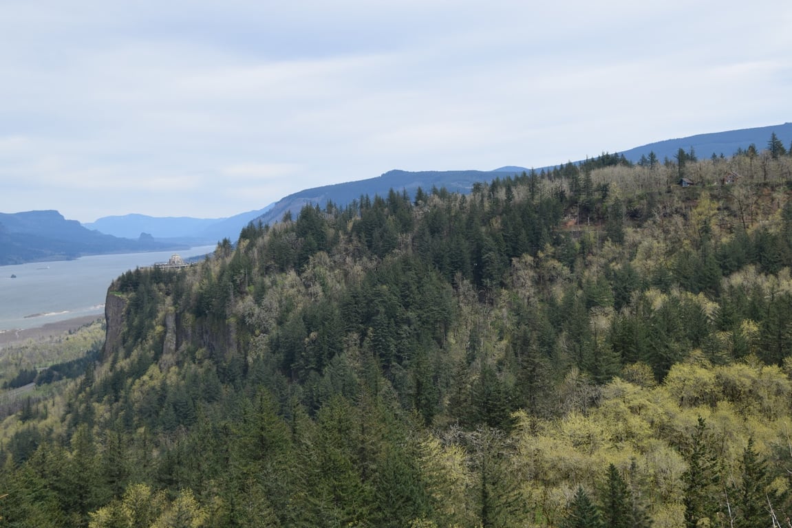 Portland Women’s Forum Viewpoint
