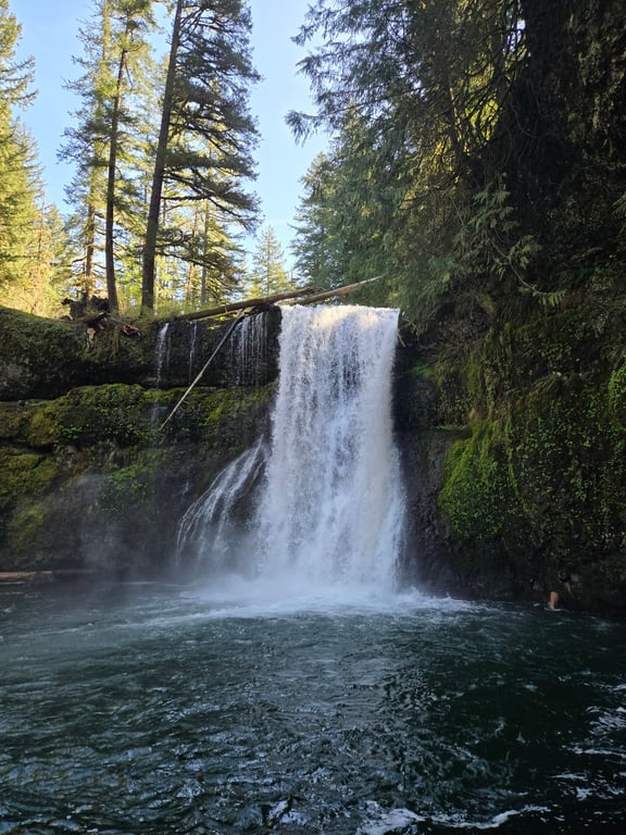 Silver Falls State Park
