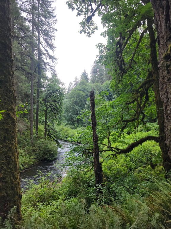 Silver Falls State Park