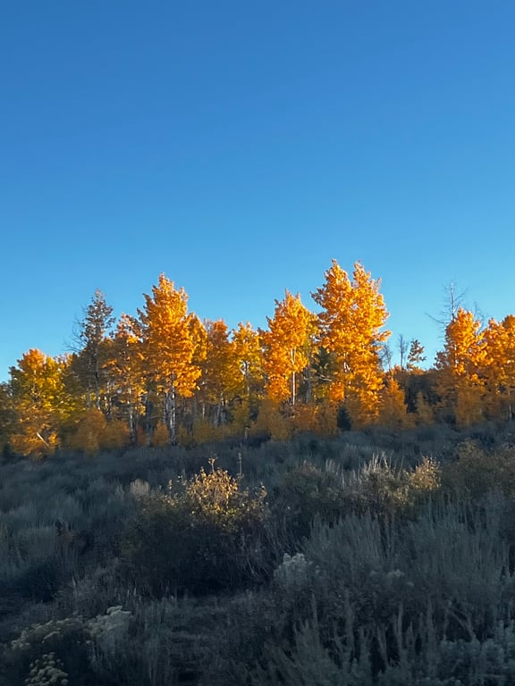 Steens Mountain Wilderness