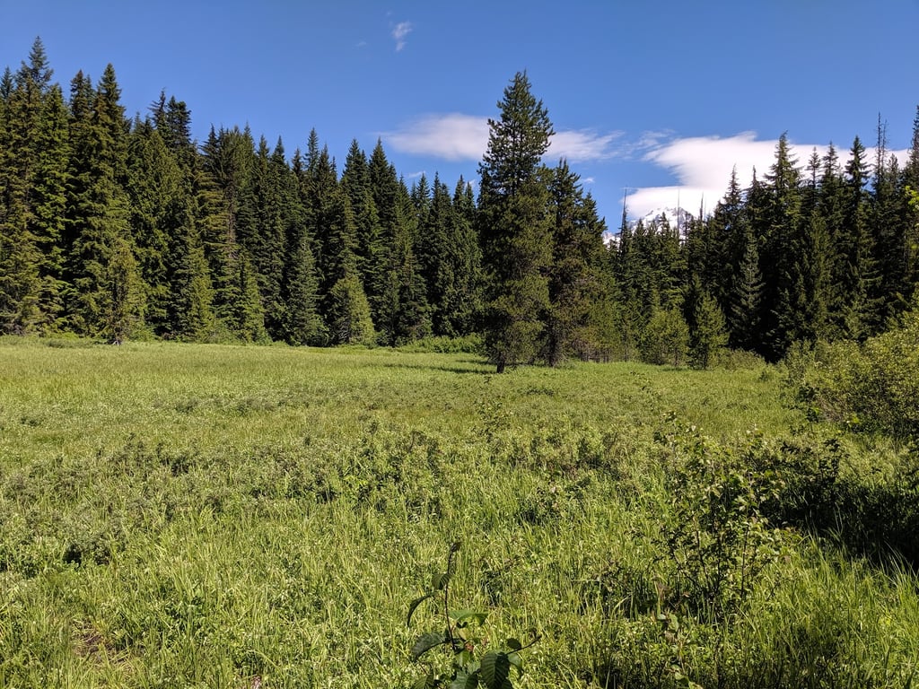 Trillium Lake