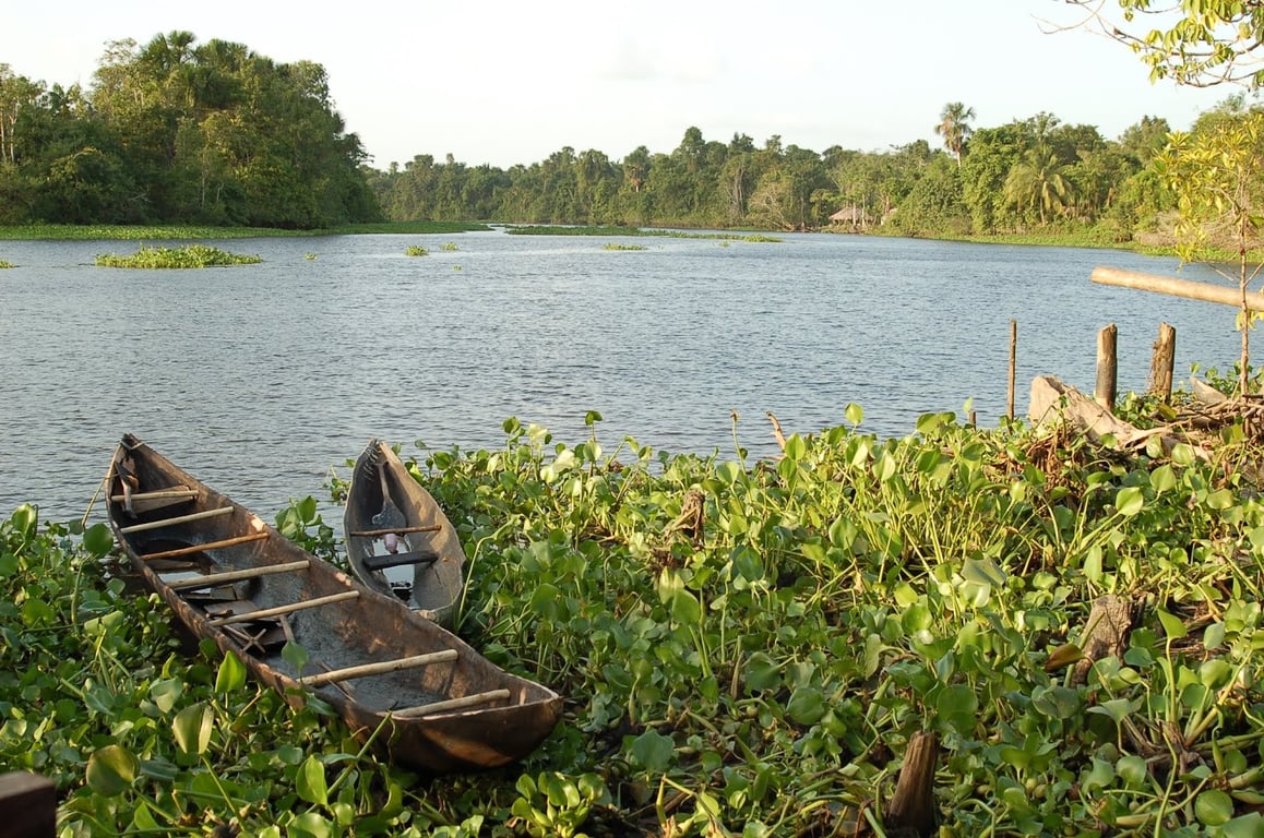 Orinoco Delta