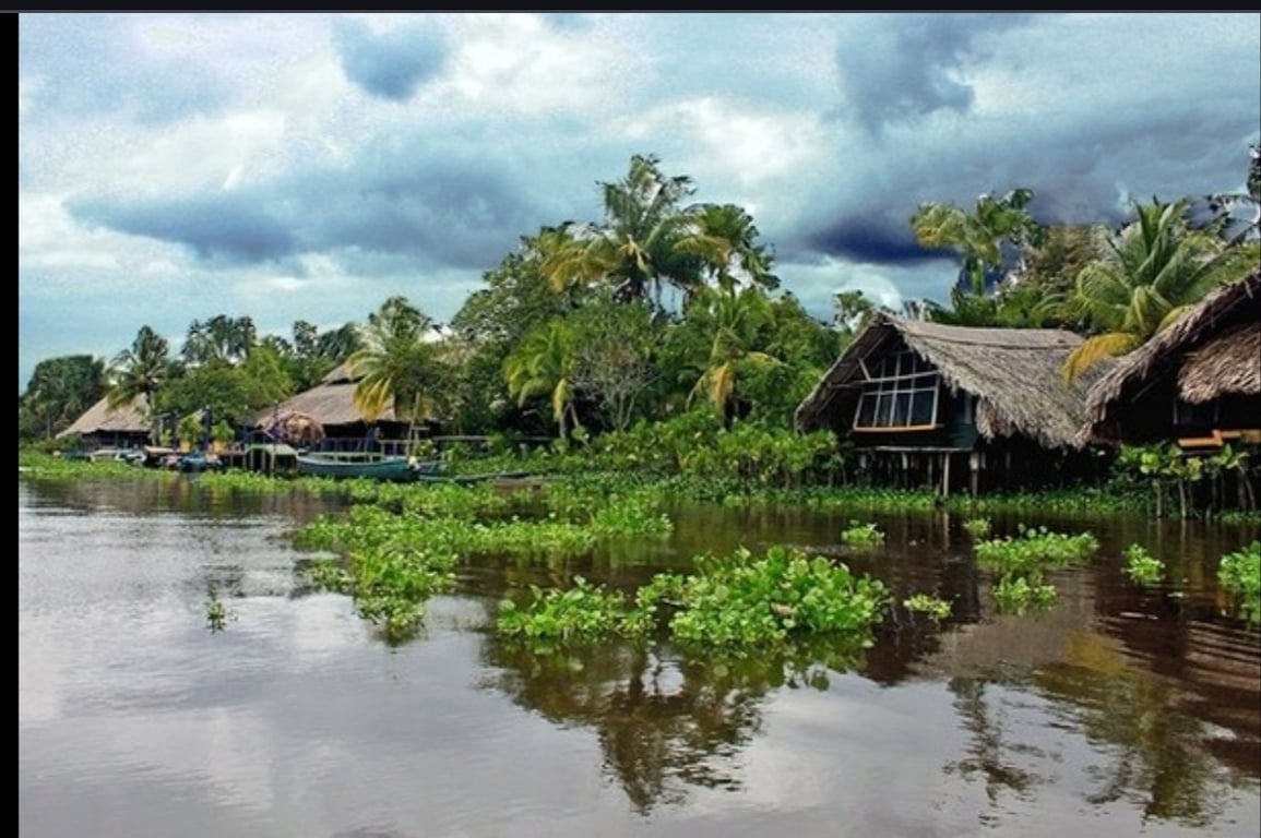 Orinoco Delta