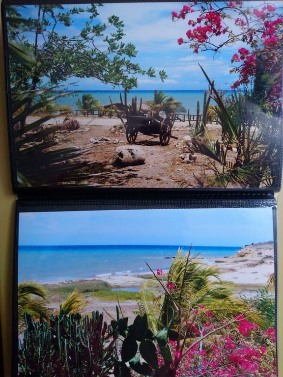 Orinoco Delta