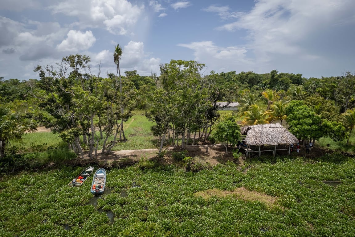 Orinoco Delta
