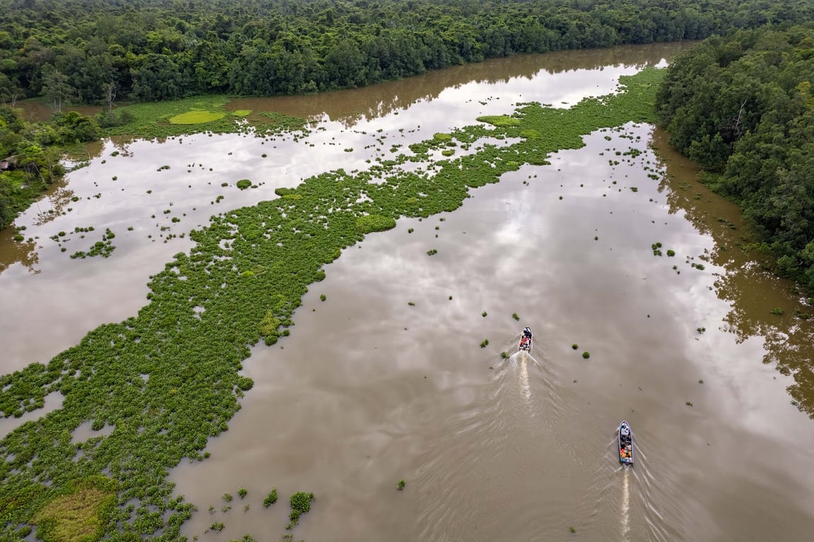 Orinoco Delta