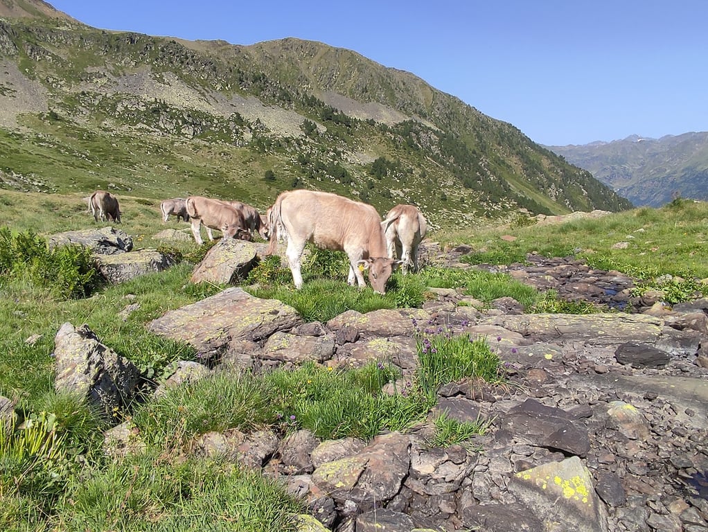 Sorteny Valley Nature Park