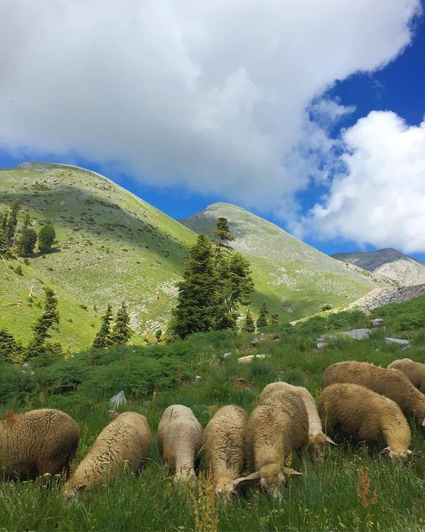 Düldül Dağı