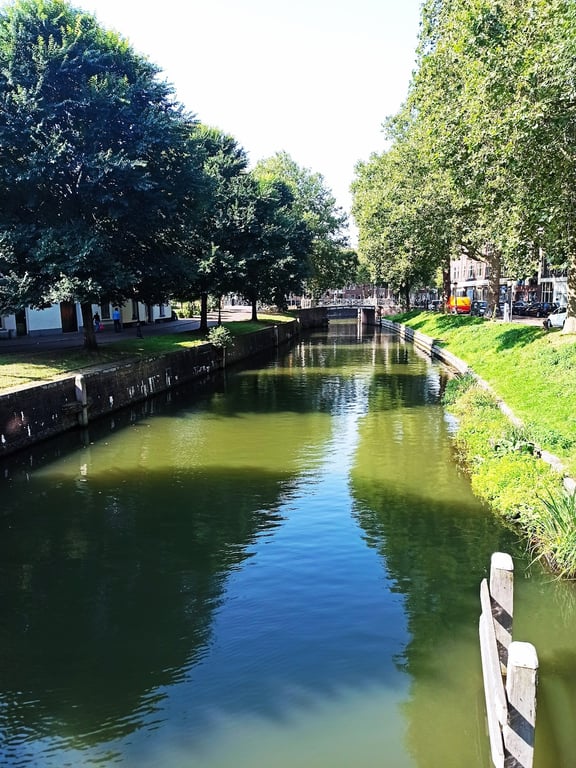 Oudegracht Wharf-Cellar Canal