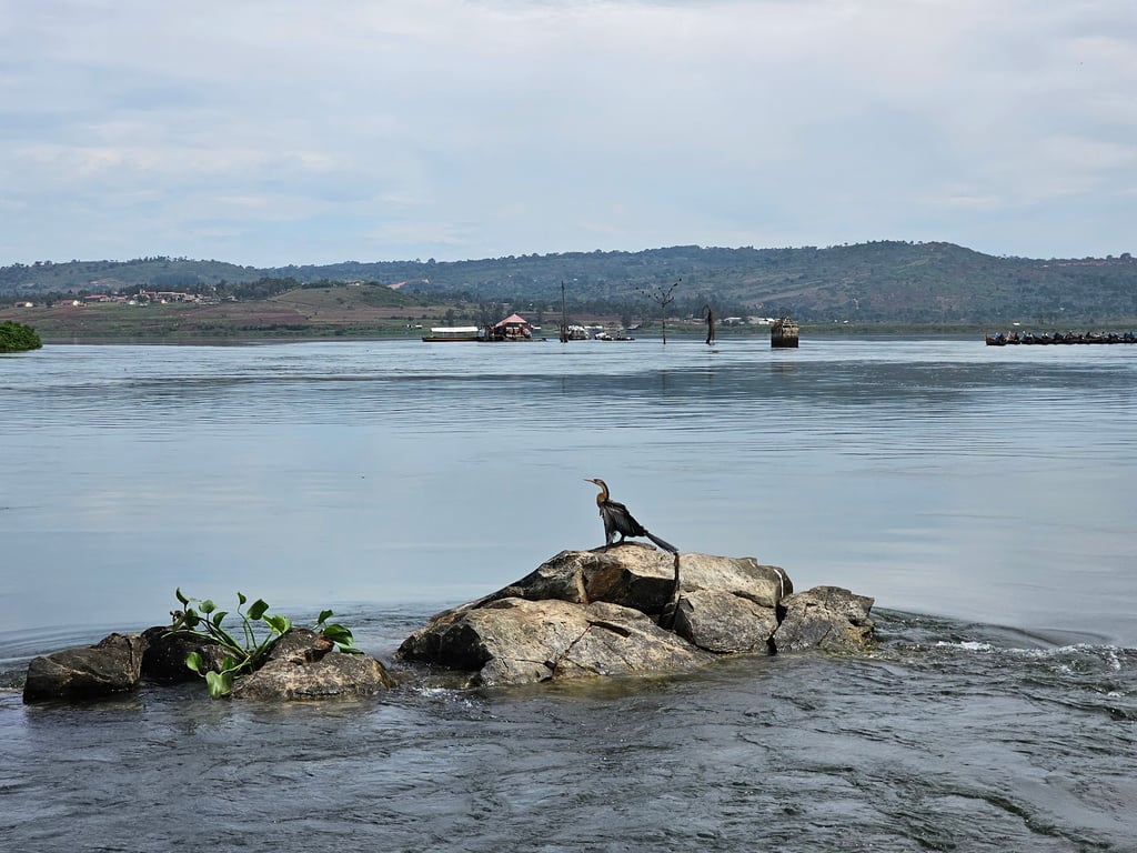 Source of the Nile
