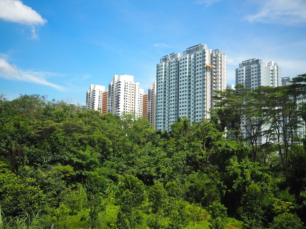Southern Ridges Trail