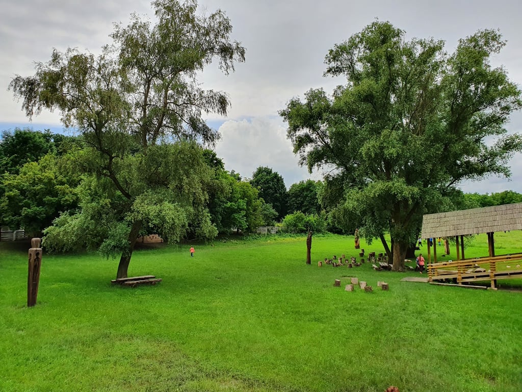 Pădurea Domnească Reserve