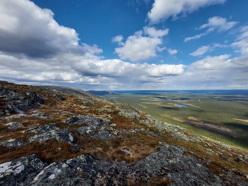 Pallas-Yllästunturi NP Pallas Fells