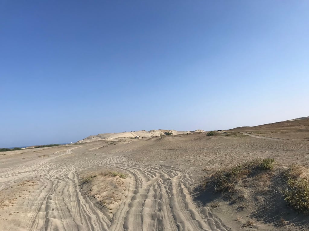 Paoay Sand Dunes