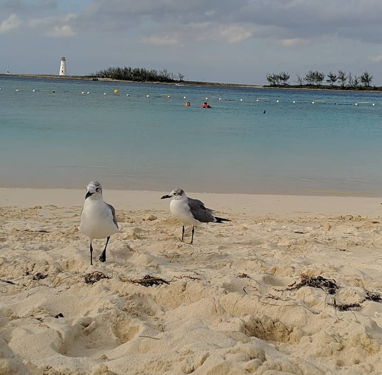 Paradise Island Lighthouse