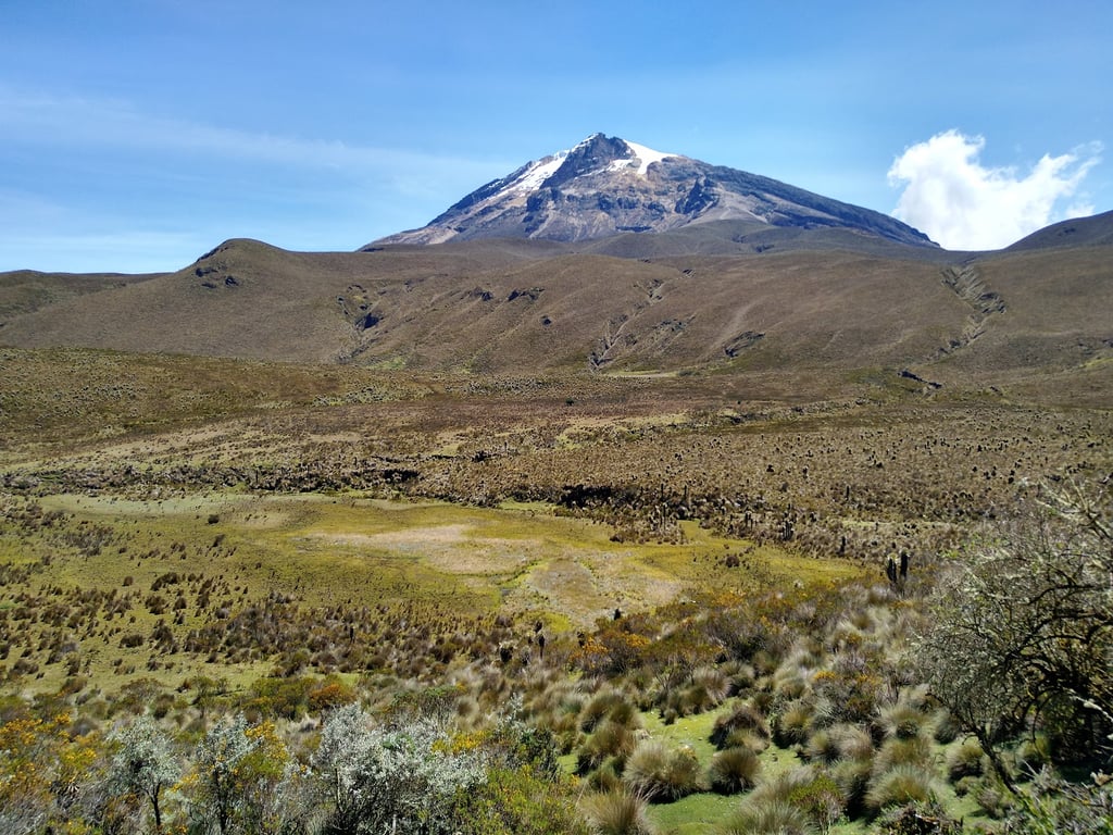Parque Los Nevados