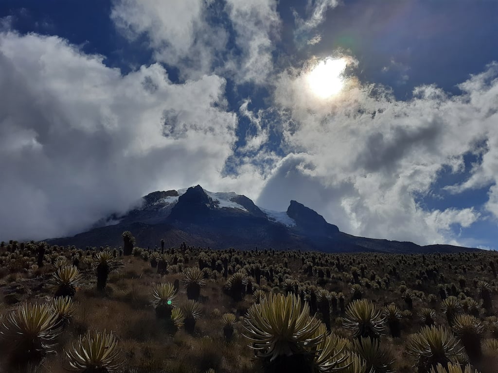 Parque Los Nevados