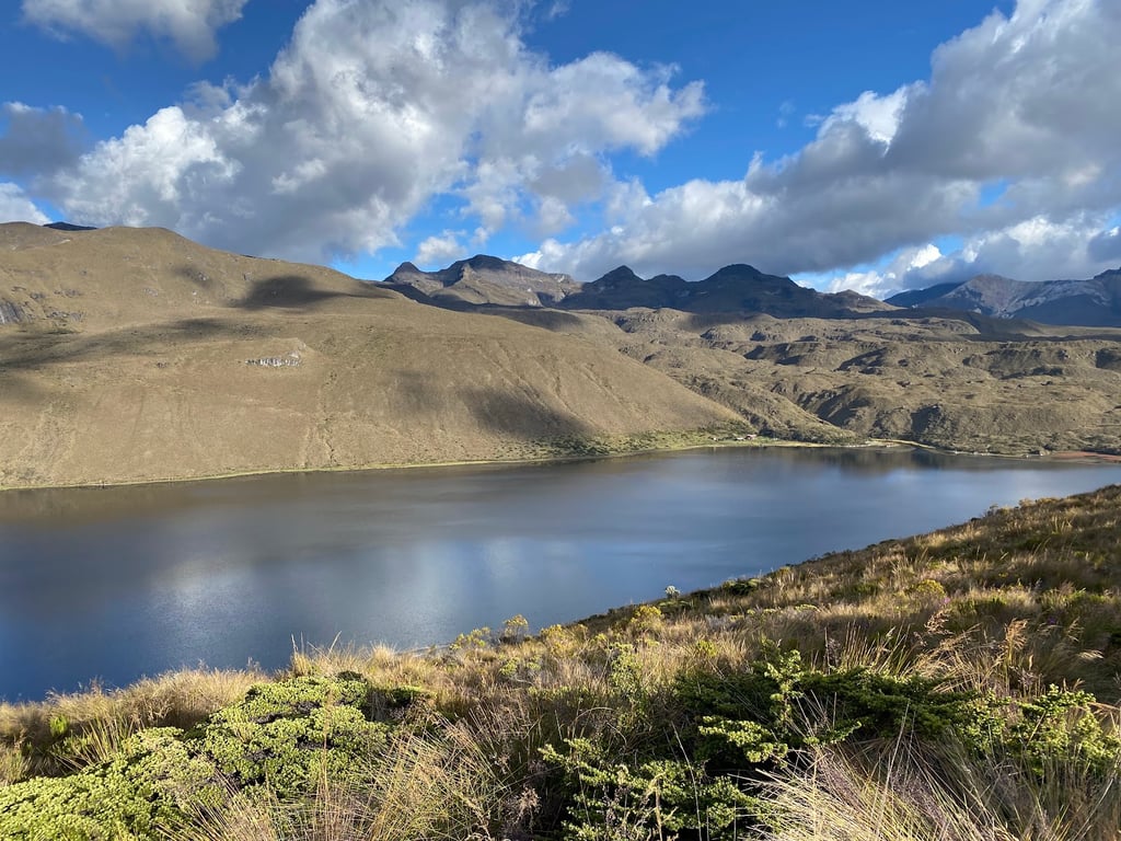 Parque Los Nevados