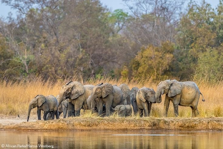 Pendjari National Park