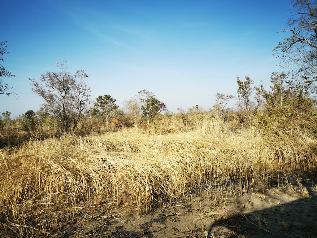 Pendjari National Park