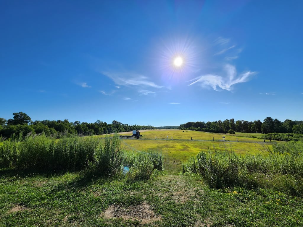 Cherry Springs State Park