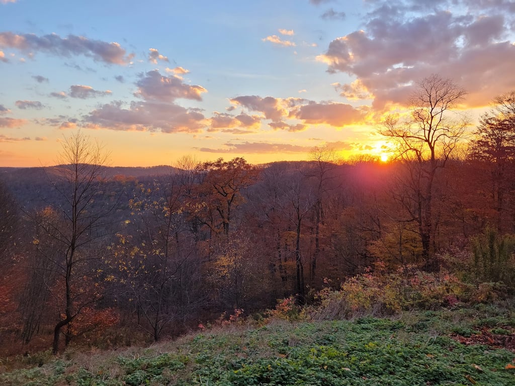 Cherry Springs State Park
