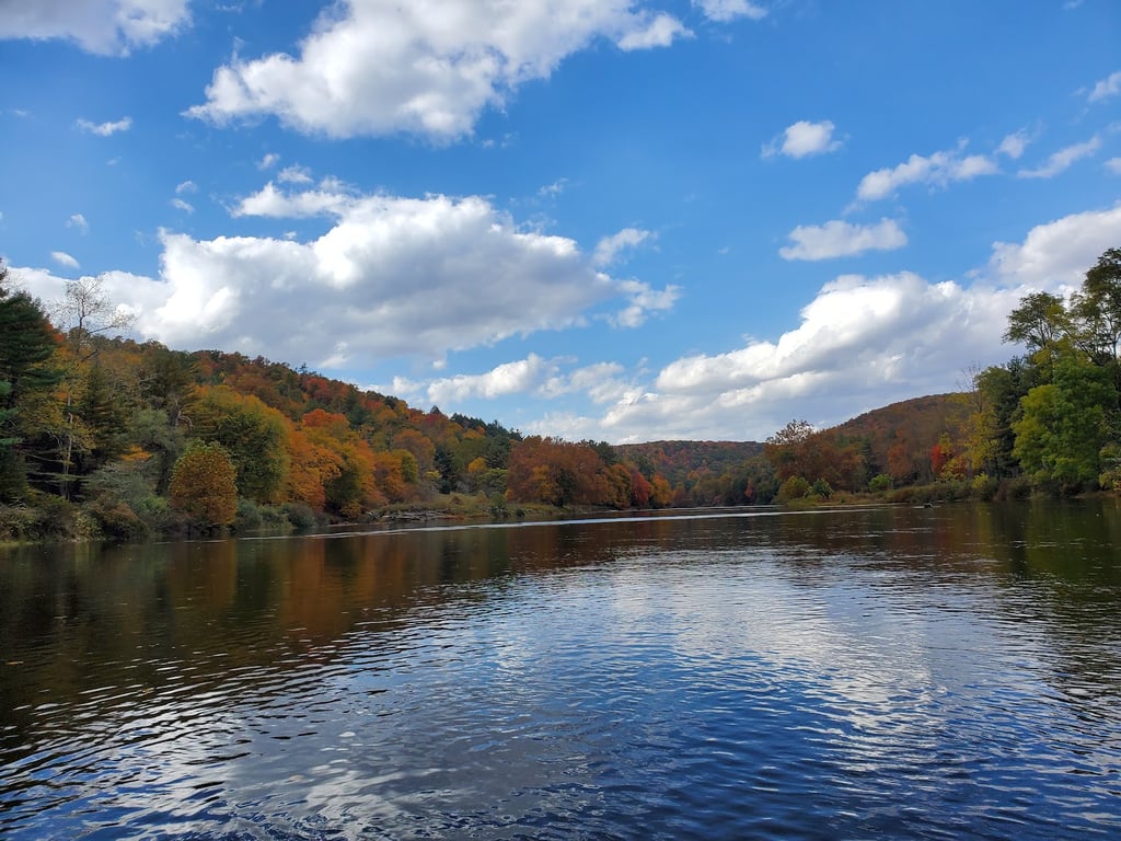 Cook Forest State Park
