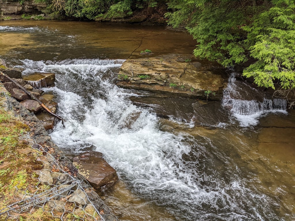 Cook Forest State Park