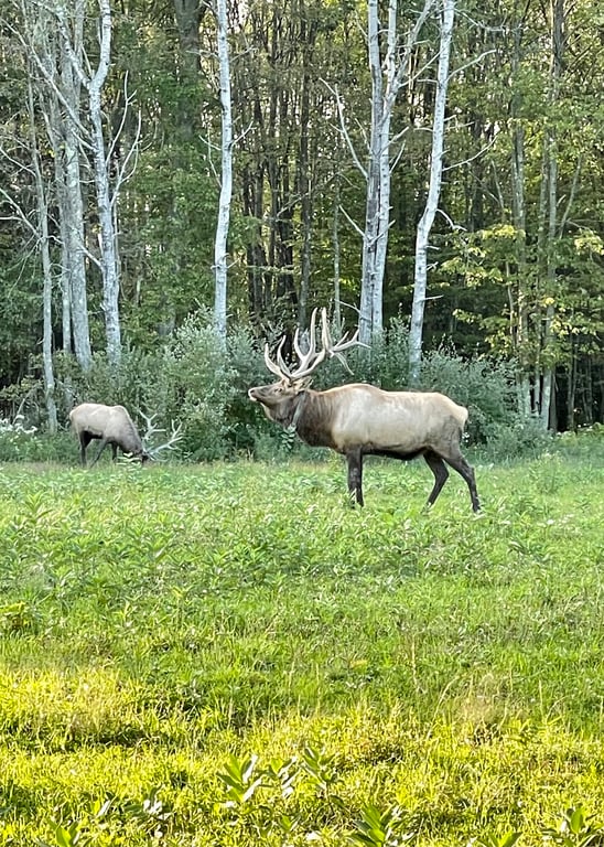 Elk Country Visitor Center