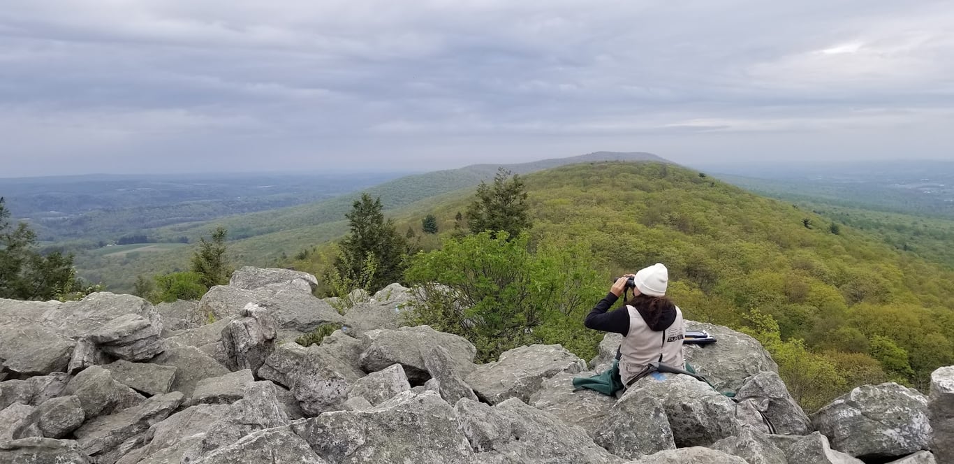 Hawk Mountain Sanctuary