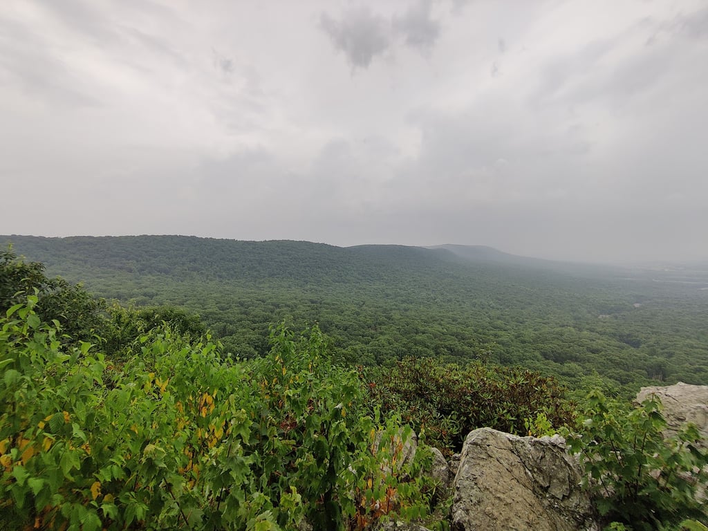 Hawk Mountain Sanctuary