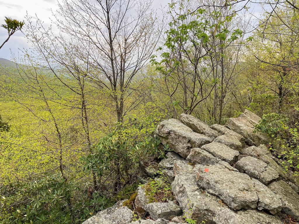 Hawk Mountain Sanctuary
