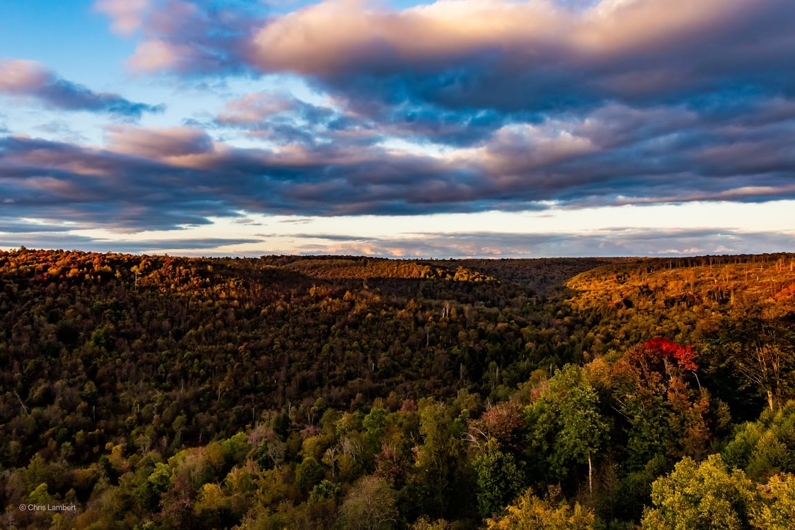 Kinzua Bridge Skywalk