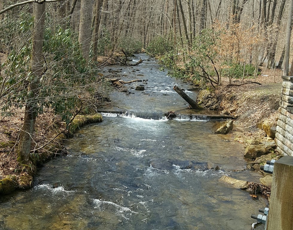 Laurel Hill State Park
