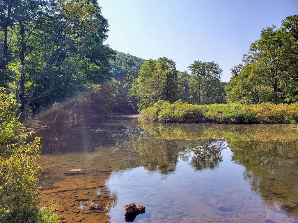 Laurel Hill State Park