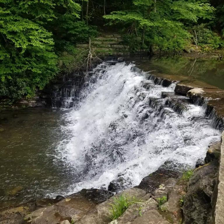 Laurel Hill State Park