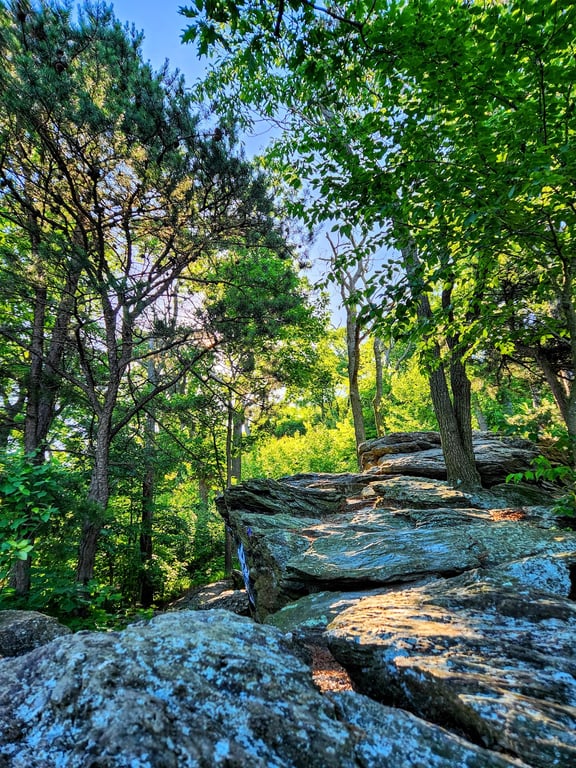 Pinnacle Overlook