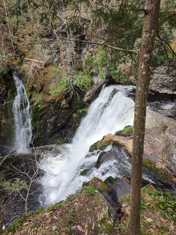 Raymondskill Falls