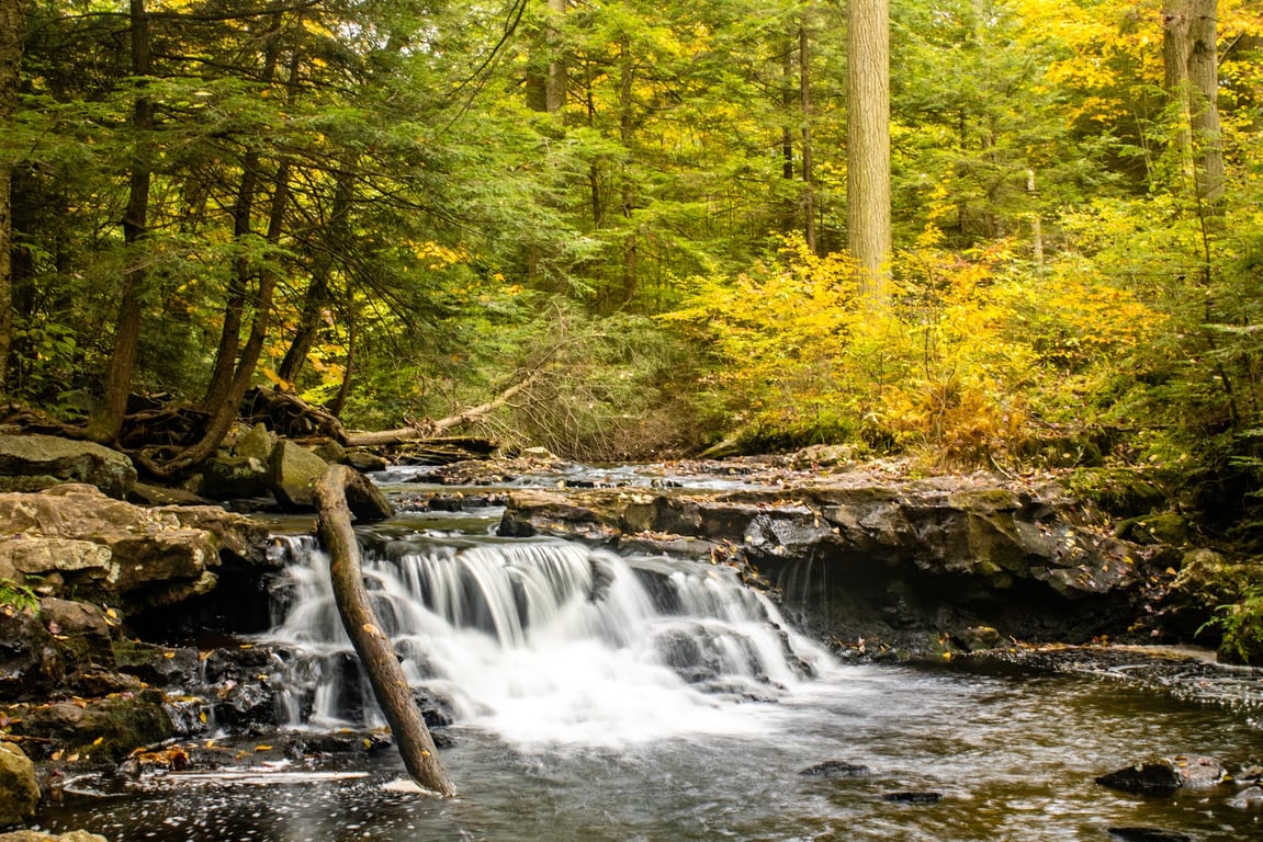 Ricketts Glen State Park