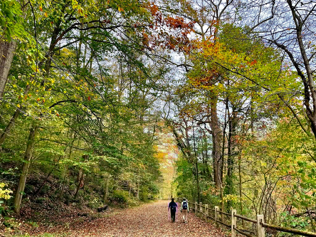 Wissahickon Valley Park
