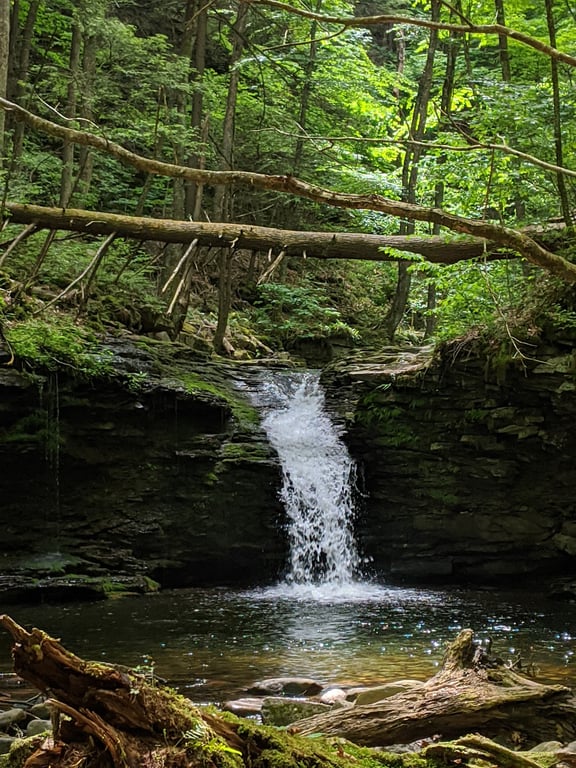 Worlds End State Park