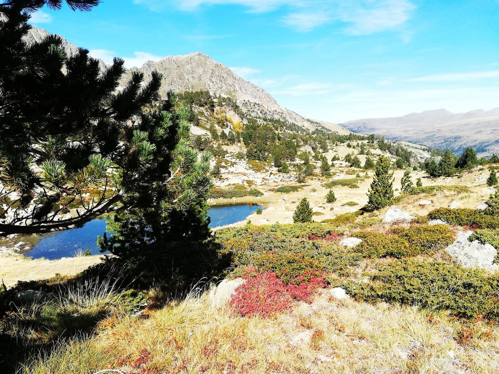 Pessons Lakes