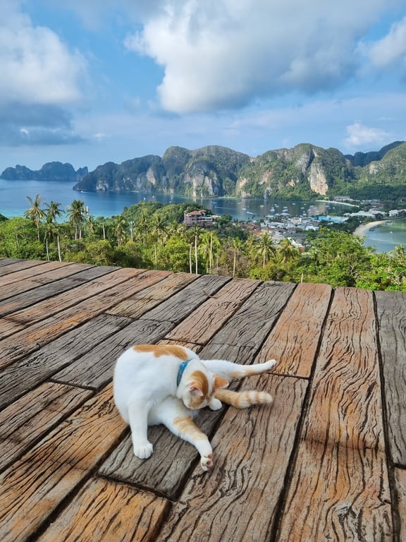 Phi Phi Viewpoints