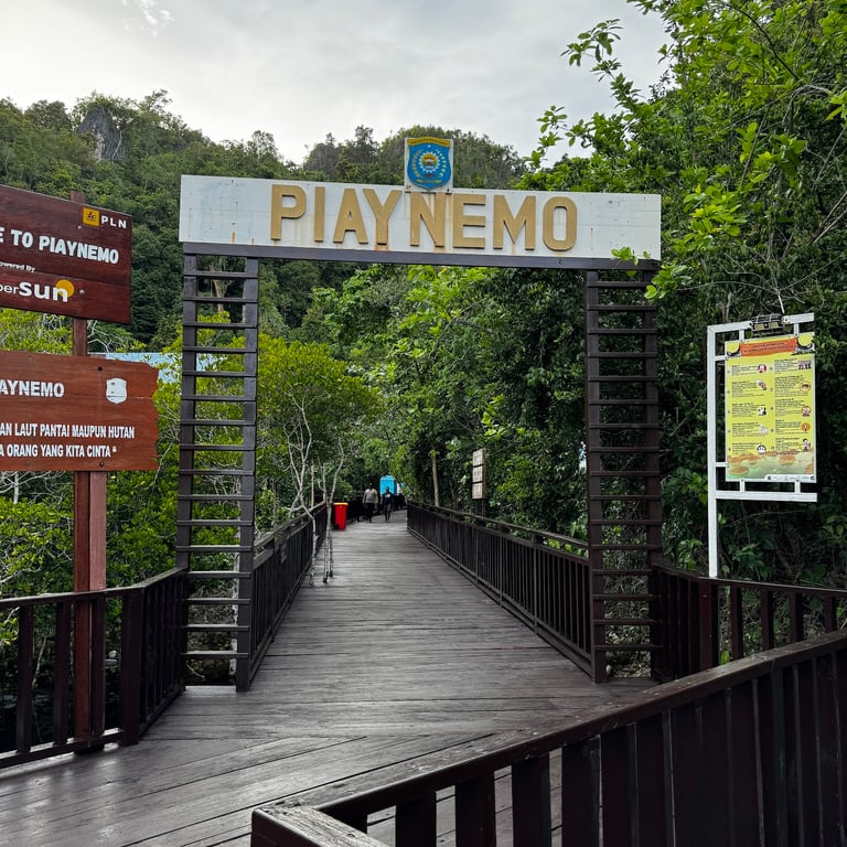 Piaynemo