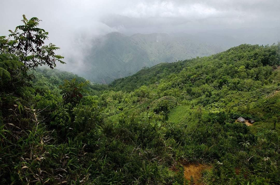 Pic Macaya National Park